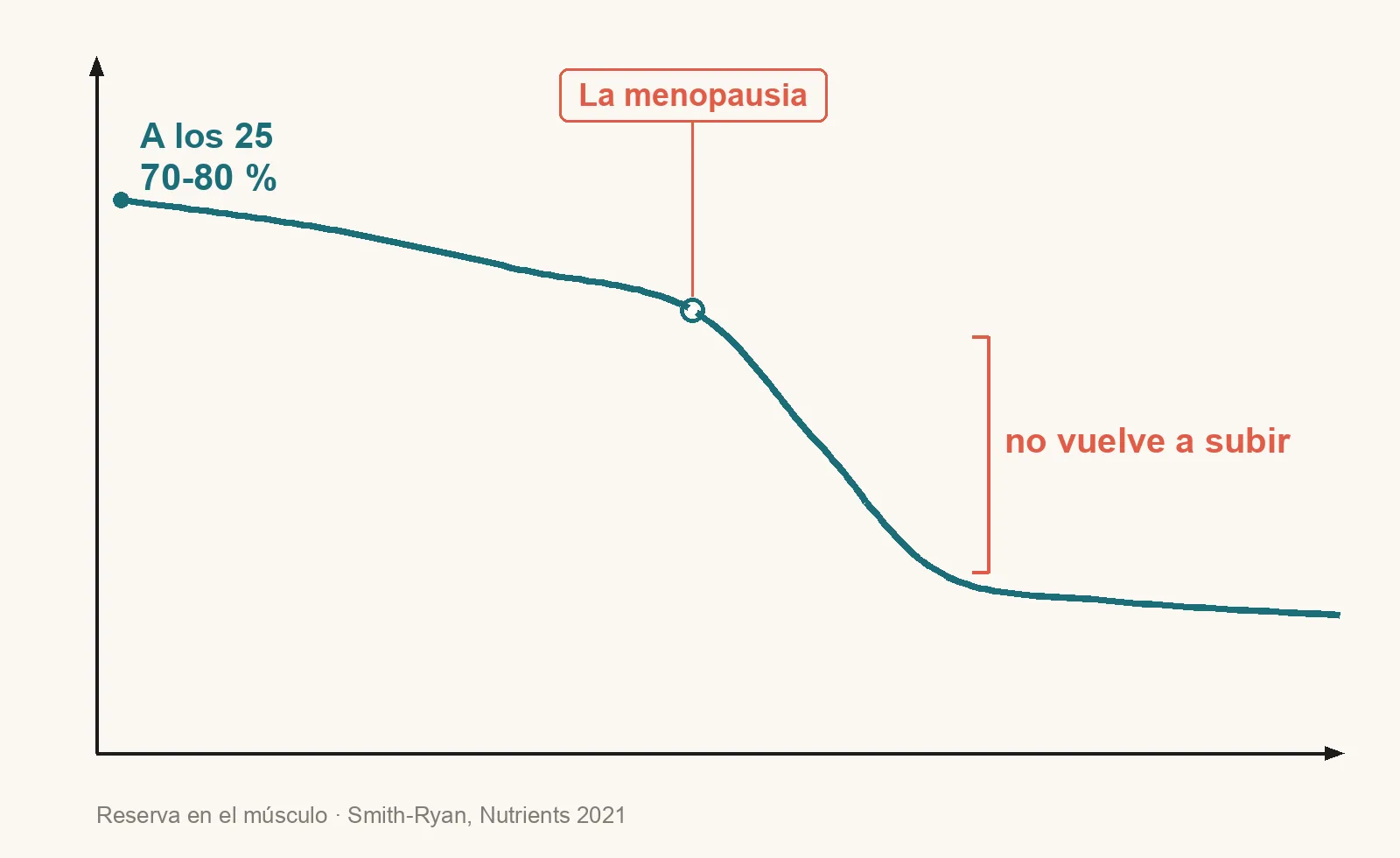 Reservas de creatina: las mujeres están en torno al 70-80 % de los hombres, con un quiebre en la menopausia